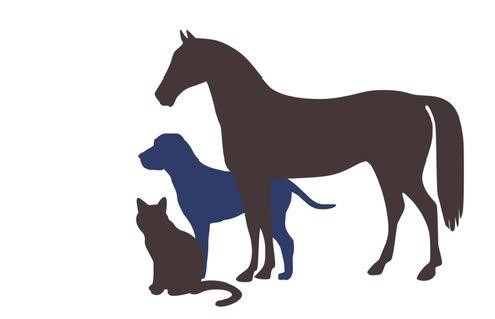 I Kare Veterinary Service